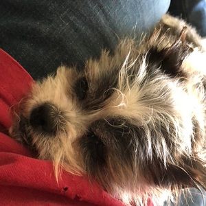 Meet your Posher, Chris